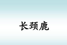肢体比划游戏大全攻略（用身体语言玩游戏，提升交流与团队合作能力）