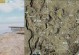 探索海岛地形图游戏攻略的奇妙世界（揭秘海岛地形图游戏攻略的关键技巧，助你成为冠军）