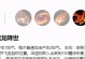 龙女手游玩法攻略（打造无敌龙女，畅享战场胜利）