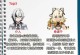 原神77攻略（打造强力角色，征服塞拉伊！）