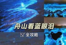 《墨子荒野乱斗出装攻略——打造无敌强者！》（掌握最佳出装方案，一统战场的关键！）