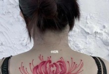 彼岸花出装教程攻略（在游戏中化身彼岸花，展现绝美造型，体验独特魅力）