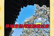原神攻略（挑战灵光蜉蝣，探索元素之力！）