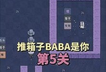 《燃烧你的脑细胞——揭秘烧脑游戏5攻略18关》（挑战极限，解密难题，以智慧制胜！）