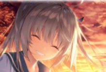 《以大表哥2》技能搭配攻略（发掘无限潜能，打造绝对优势！）
