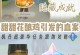 《原神禽肉获取攻略》（畅享美食与冒险，探寻神秘的禽肉来源）