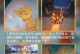 揭秘原神荒废神像攻略的秘密（探索荒废神像所需的关键线索和技巧，助你顺利完成任务）