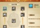 冰霜鳄鱼出装铭文攻略大全（探索最强冰霜鳄鱼装备与铭文搭配，打造无敌战力）
