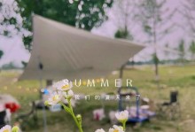 《重温夏日美好回忆游戏攻略》（用游戏与回忆，感受夏日的浪漫与快乐）
