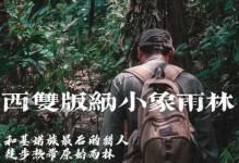 荒野求生文字版攻略（战胜荒野，成为求生之王！）