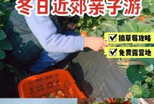 打造家庭农场游戏攻略的秘诀（让你的农场大放异彩，成为农场大亨！）