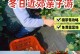 打造家庭农场游戏攻略的秘诀（让你的农场大放异彩，成为农场大亨！）