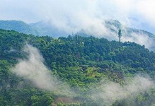 《烟雨江湖风疾惊雨伴雷声》任务攻略（开启江湖冒险，征战风雨世界）