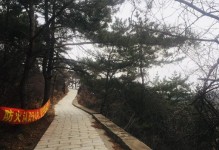 《揭秘旅顺金龙寺游戏攻略，畅玩古刹之旅》（探索金龙寺，一步一惊喜）