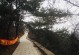 《揭秘旅顺金龙寺游戏攻略，畅玩古刹之旅》（探索金龙寺，一步一惊喜）