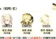 原神小鹿养成攻略（小鹿养成攻略，带你解锁强力技能与装备，轻松应对战斗挑战）