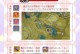 新手保姆在哪？原神攻略指南（探索原神世界，找寻可靠的新手导师）