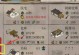 江南百景图探险游戏攻略（一场奇妙的历史探险，亲临江南百景图！）