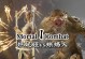 模拟蜥蜴人游戏攻略（掌握游戏技巧，一步步提升实力，征服虚拟世界）