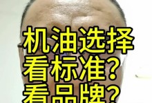 如何使用FGO润滑机油进行游戏机器的维护（FGO润滑机油的作用和使用方法）